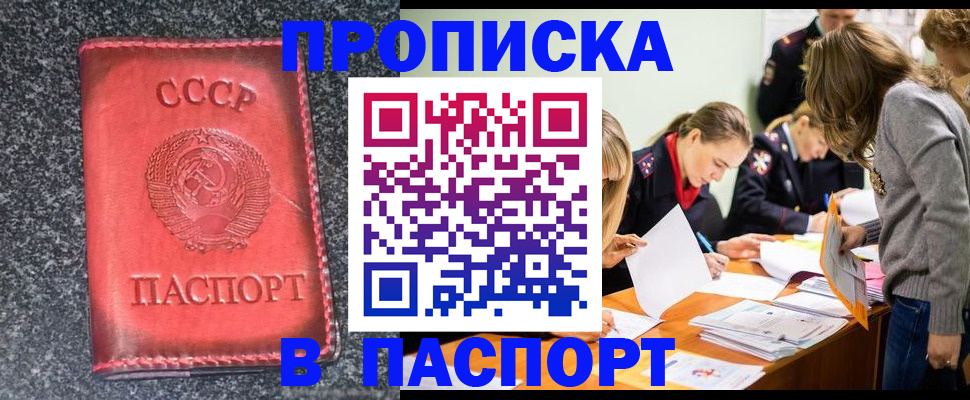 прописка для школы в Ершове